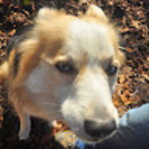 Meet your Posher, Britt